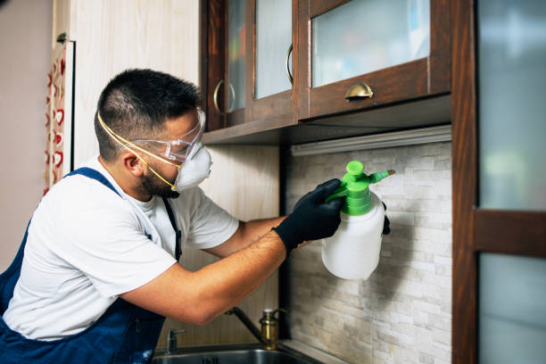 Best Cockroach Control Services  in Lincoln Rk, PA