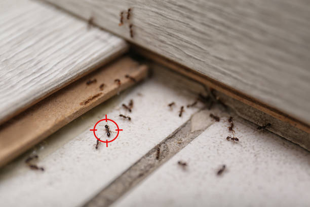  Lincoln Rk, PA Pest Control Pros