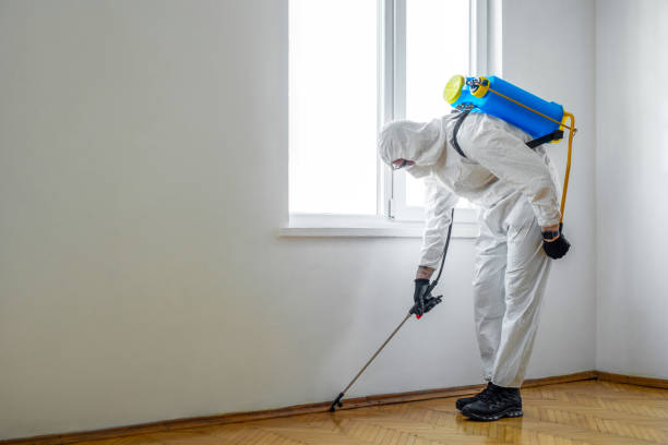 Best Flea Control Services  in Lincoln Rk, PA